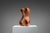 Unknown, Abstract Sculpture with Organic Flowing Curves, 1960s, Teak For Sale - Image 9 of 18