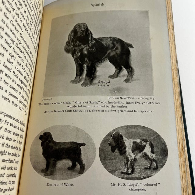 1924 Dogs & I Book For Sale - Image 9 of 10