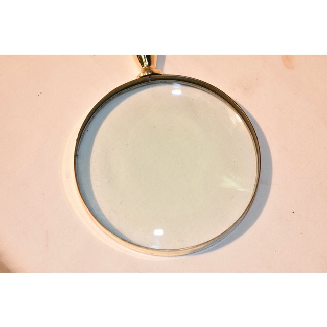 19th Century Magnifying Glass With Hand Carved Yorkie Handle For Sale In Greensboro - Image 6 of 8