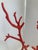 Red Coral Faux Metal Sculpture For Sale - Image 8 of 10