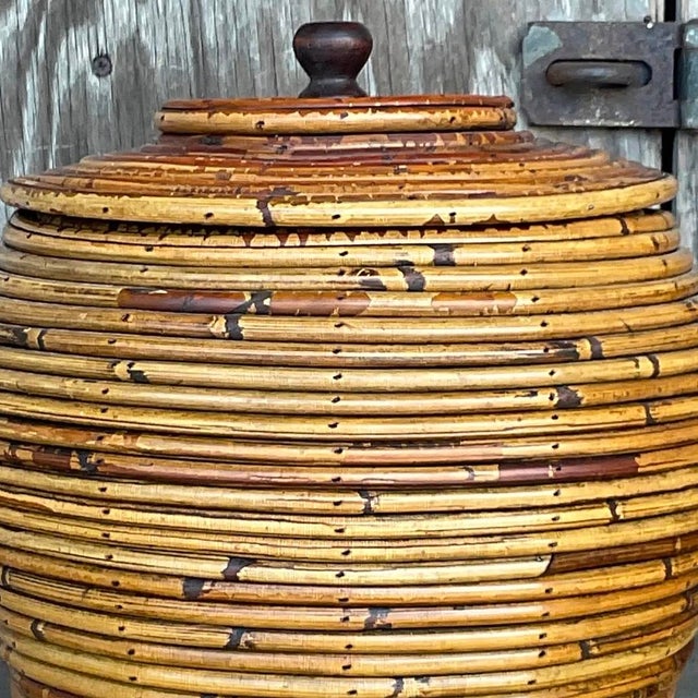 Chocolate Vintage Costal Pencil Reed Low Lidded Urn For Sale - Image 8 of 13
