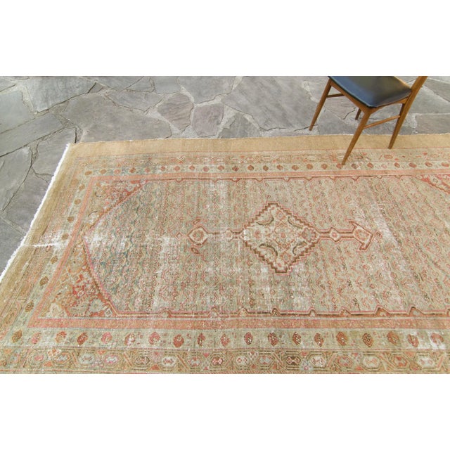 1900 - 1909 1900s Antique Tan Sage Salmon Sarab Hand-Knotted Rug - 6’ X 10’11" For Sale - Image 5 of 10