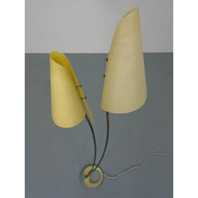 Fiberglass & Brass Floor Lamp by Carl Auböck for Dame & Co. Neheim, Germany, 1950s For Sale - Image 12 of 18