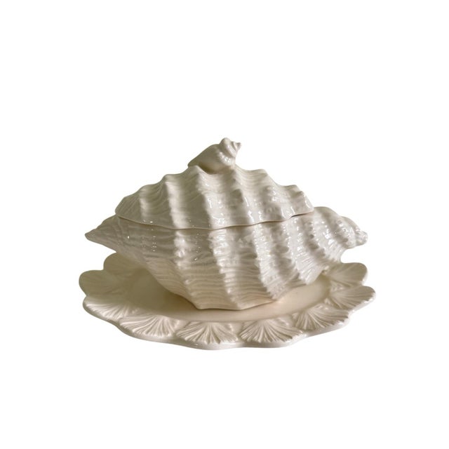 A charming small conch shell ceramic tureen in a soft ivory-white color. Beautifully detailed with a sculptural shell...