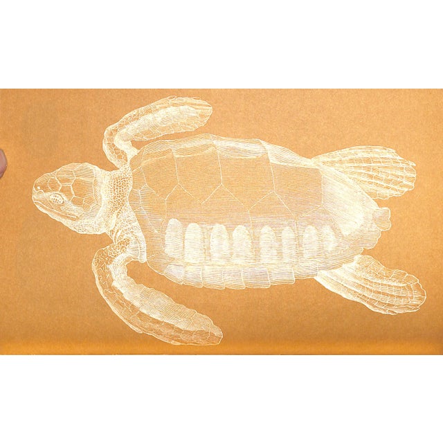 Paper "American Cookery" Book 1963 Simmons, Amelia For Sale - Image 7 of 8