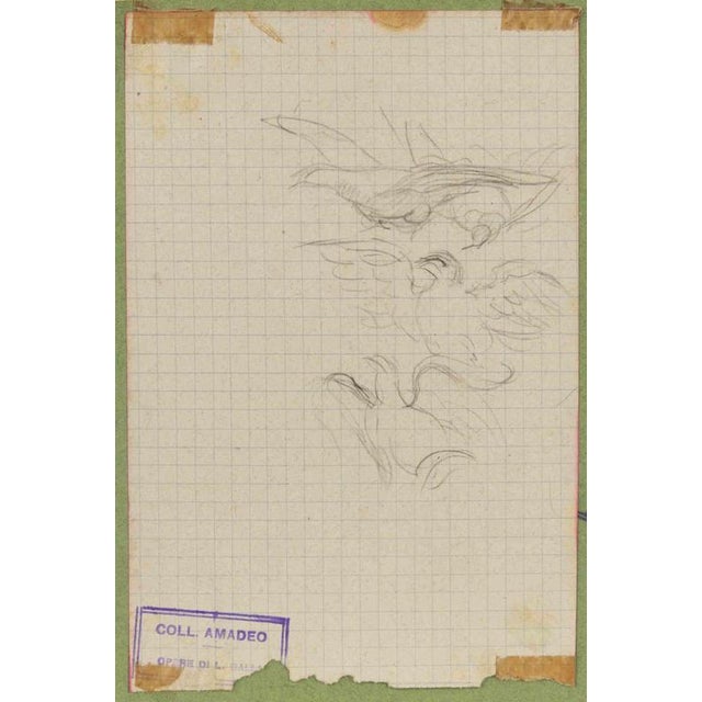 Birds in flight is an original artwork realized by Luigi Galli in the late 19th Century. Pencil drawing on paper. The...
