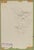 Birds in flight is an original artwork realized by Luigi Galli in the late 19th Century. Pencil drawing on paper. The...