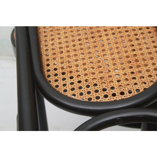 Model 207 R Chairs by Michael Thonet for Thonet, 2000, Set of 6 For Sale - Image 11 of 16