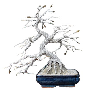 Vintage Silver Solder Cascading Bonsai Tree, 1970s
