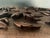Wood 19th Century Antique Kashmiri Hand-Carved Monogrammed Walnut Box With Original Key For Sale - Image 7 of 18