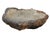 This exceptional petrified coral bowl is a rare natural object formed over millions of years and handcrafted in Indonesia....