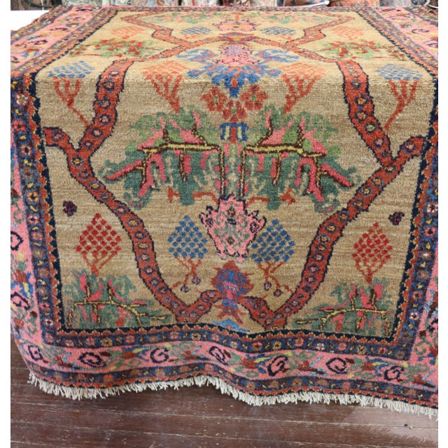 Early 20th Century Antique Persian Kurdish Rug, For Sale - Image 5 of 12