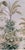 Not Yet Made - Made To Order 36" * H108" * 5ps, Hand-Painted Morandi Misty Classical Garden Tropical Bird & Foliage Wall Mural, Neoclassical Tropical Landscape Mural For Sale - Image 5 of 9