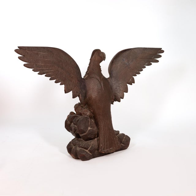 Realism Large-Scale Carved Oak Eagle, Spain, Circa 1900 For Sale - Image 3 of 14