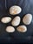 Striking set of six natural fossilized clam shells with beautiful variation in form, surface, and coloration. Each shell...
