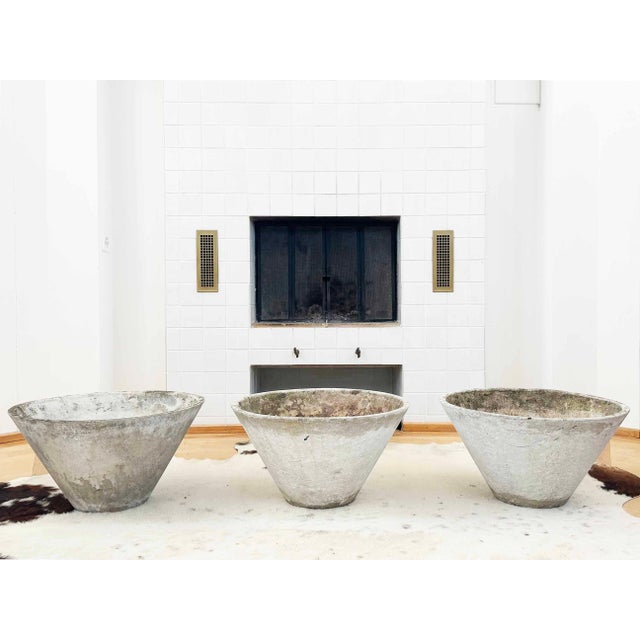 1960s Large 21.65" Diam. 11.6" Tall Tapered Concrete W. Guhl Eternit Planter A+ Patina For Sale - Image 13 of 15
