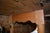 Vintage Large Oval Rustic Pine Wood Drop Leaf Dining Table W/ Shapely Feet For Sale - Image 9 of 18