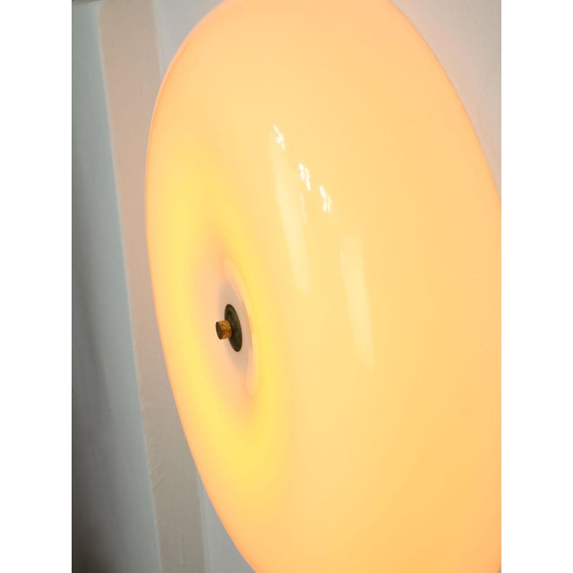 Large Mid-Century Modern Italian Acrylic Glass and Brass Wall Lamp For Sale - Image 18 of 18