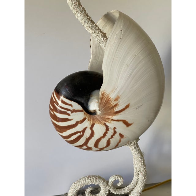 1950s Pair of Organic Costal Organic Modern Sea Shell Lamps, For Sale - Image 5 of 9