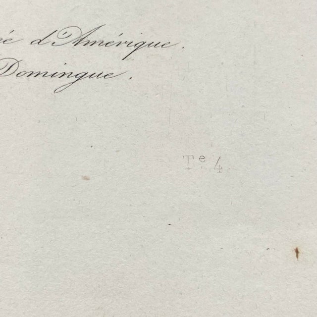 Paper French Antique 18th Century Bird Engraving Hand Colored Artwork For Sale - Image 7 of 8