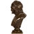 French Antique Bronze Sculpture “Bust of Voltaire” After Jean-Antoine Houdon For Sale - Image 6 of 18
