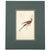 A coordinated gallery of five original 1833 hand-colored hummingbird engravings from Sir William Jardine’s Naturalist’s...