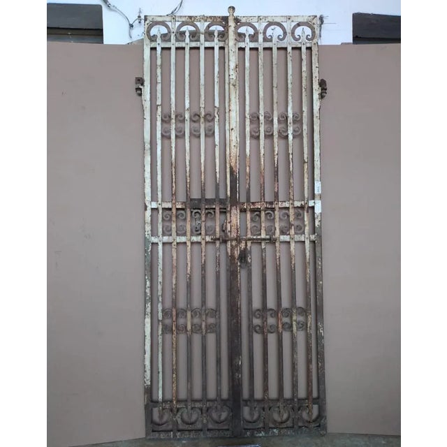 Metal Vintage Tall Iron Gates For Sale - Image 7 of 8