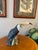 An extraordinary hand-painted ceramic toucan by the renowned Italian ceramics studio Ronzan, known for its midcentury...