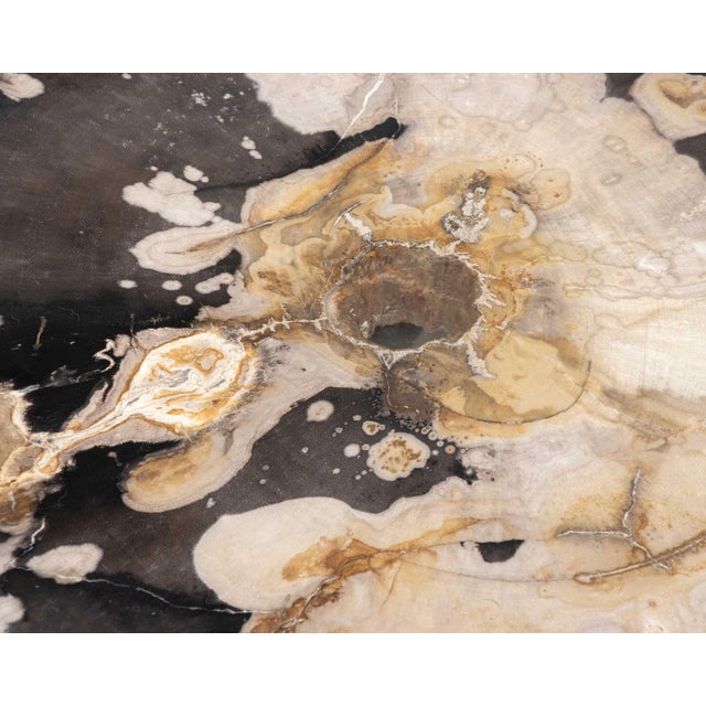Contemporary Petrified Wood Side Table For Sale - Image 9 of 10