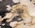 Contemporary Petrified Wood Side Table For Sale - Image 9 of 10