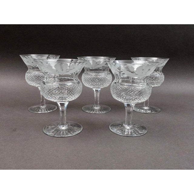 Edinburgh Crystal Scotland Thistle Champagne Sherbet Glasses Set Of 5. Measures approximately 3 1/4" diameter, 4 7/8" high.
