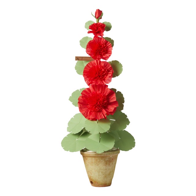 The Green Vase Double Hollyhock Plant in Red For Sale