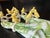 Canary Yellow Ceramic Bird Napkin Rings Set of 12 For Sale - Image 12 of 14