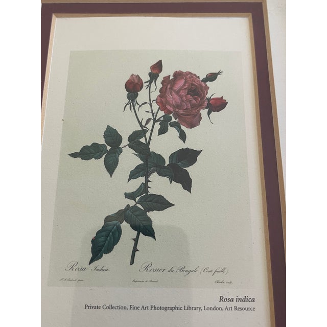 P.J.Redoute Pair Floral Chromolithographs Framed Reproduction For Sale - Image 9 of 9