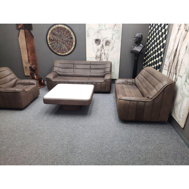 Mid-Century Modern DS 84 Seating in Buffalo Leather from de Sede, 1970s, Set of 4 For Sale - Image 3 of 15