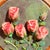 Art Deco 3d Rose Embroidery Wall Art | Pink Roses Stumpwork Hoop (5.3 Inch) For Sale - Image 3 of 13