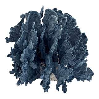 Designer Size Natural Blue Coral Specimen For Sale