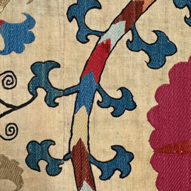 19th Century Central Asian Uzbek Suzani For Sale - Image 10 of 12