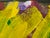 John Fooks Acrylic on Canvas Abstract Painting For Sale In San Francisco - Image 6 of 12