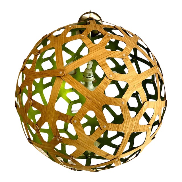 The Eco-Friendly Coral Pendant Light, by David Trubridge For Sale