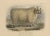 Fairland after W. Nicholson, A Ram of the Black-Faced Heath Breed or Scottish Blackface, 1841, Lithograph For Sale - Image 6 of 7
