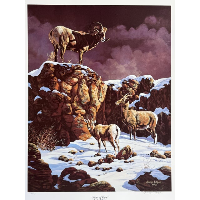American "Point of View" 1992 Jocelyn Lillpop Russell Le Signed Numbered Big Horn Sheep Wildlife Print For Sale - Image 3 of 6