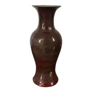 19th Century Chinese Oxblood Sang de Boeuf Porcelain Vase