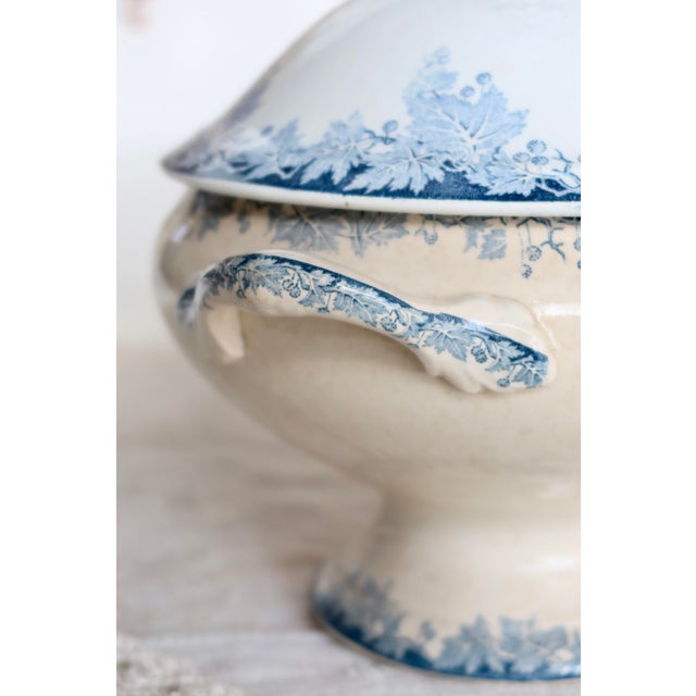 Vintage Ironstone Platane Bleu Soup Tureen from Saint Amand Hamage Nord, 1890s For Sale - Image 3 of 11