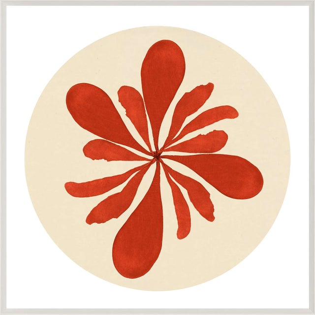 Liven up your space with a fresh, modern beach vibe with these giclée prints of pressed seaweeds reimagined in a pop of...