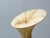 The floor lamp was designed by Israeli designer Ayala Serfaty for Aqua Creations and dates back to the 1990s. with its...