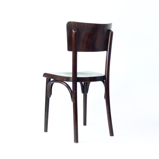 Brown Bentwood Chair, Former Czechoslovakia, 1950s For Sale - Image 8 of 10
