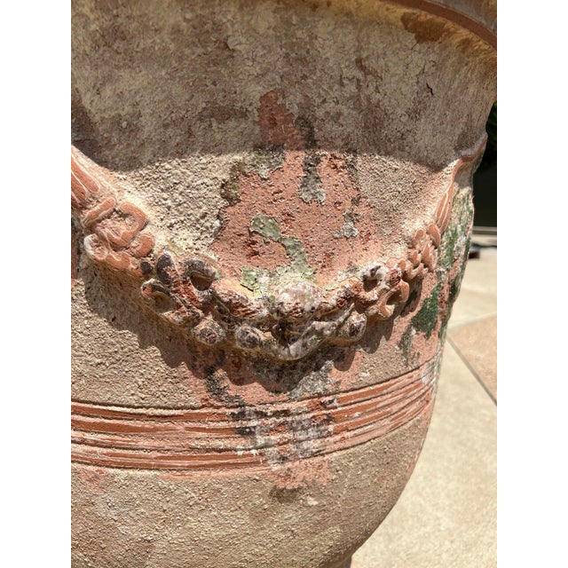 Pair of Antiqued Lemon or Orange Tree Anduze Pots From the Cevennes, France For Sale - Image 4 of 12