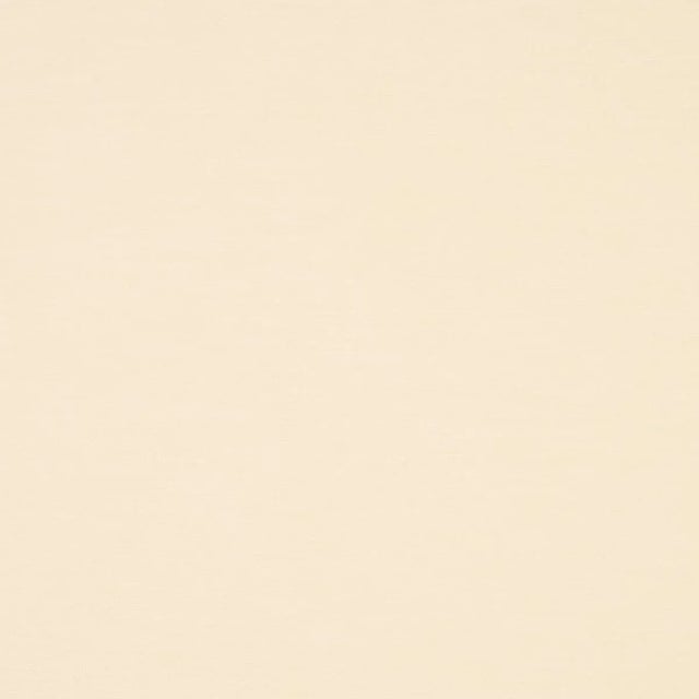 Transitional Schumacher X Mark D. Sikes Judy Texture Fabric In Butter For Sale - Image 3 of 4