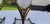 Glass Decorative Elements in Frosted Glass and Brass, 1900, Set of 2 For Sale - Image 7 of 17